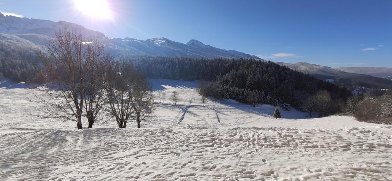 Studio Cosy Au Pied Des Pistes Villard-De-Lans 4 Pers 외부 사진